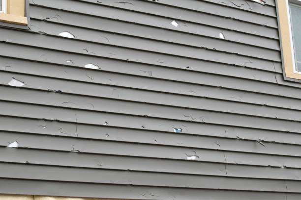 Storm Damage Siding Repair in Mcgraw, NY